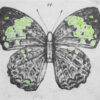 LUDO_Bullets with butterfly wings 11_19x24 cm
