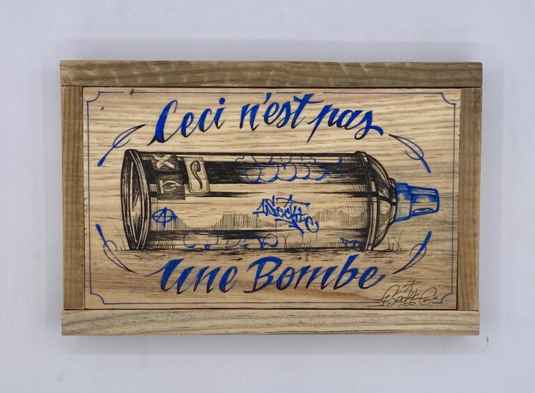 L'INSECTE This is not a bomb 17x26.5x3cm